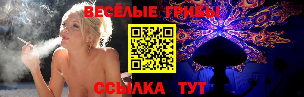 Вольск  Галлюциногенные грибы мухоморы  Вход с VPN 